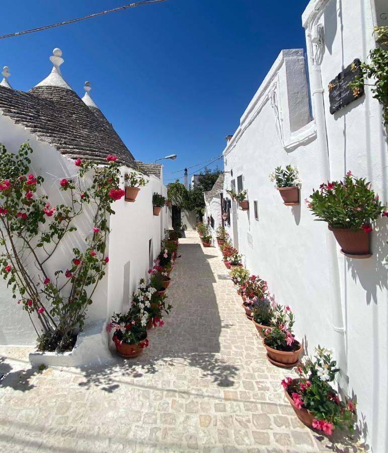 Trullo "Vicolo Fiorito" Villa Alberobello Exteriör bild