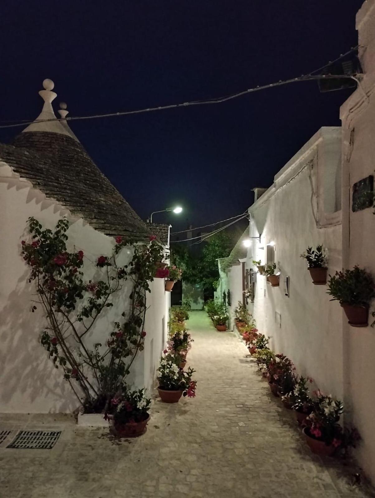 Trullo "Vicolo Fiorito" Villa Alberobello Exteriör bild